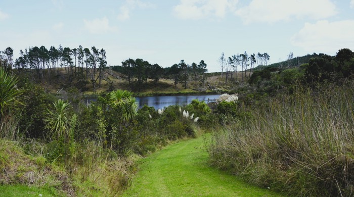 A mown path leads to a rural scene with a lake in the background.