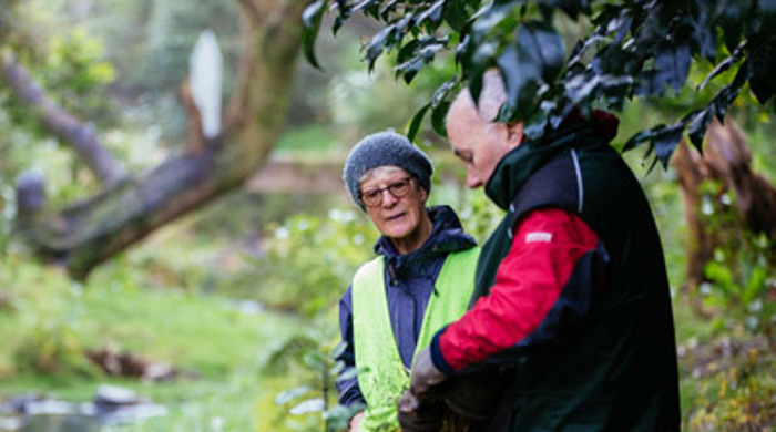 Two people talking in the bush while planting a native seedling. 