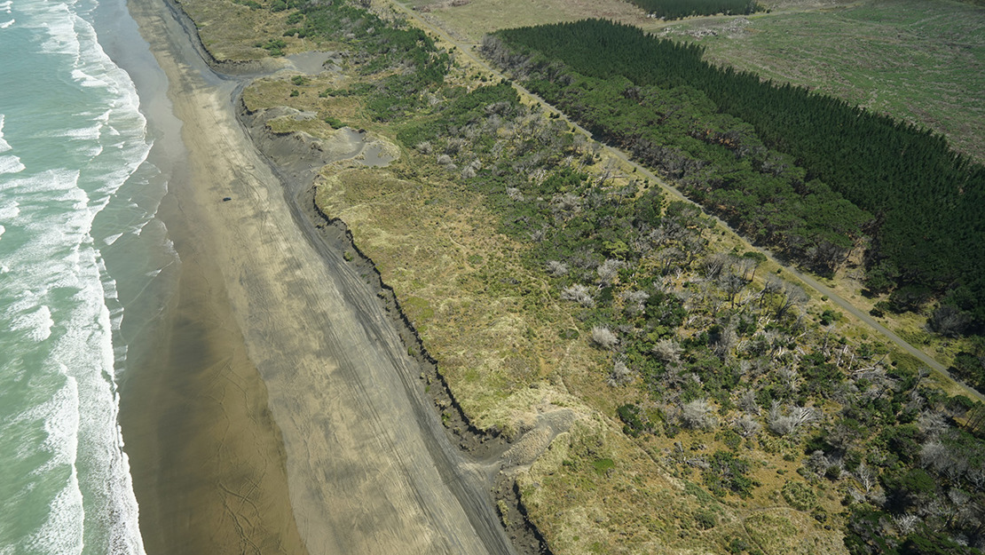 Muriwai Regional Park with waves breaking against the shore.