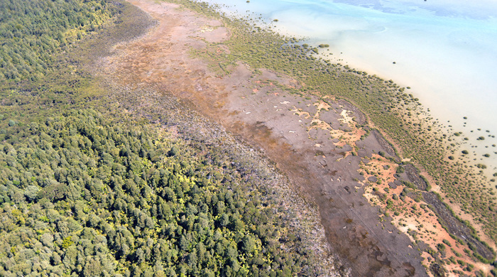 Omaha sequence vegetation.