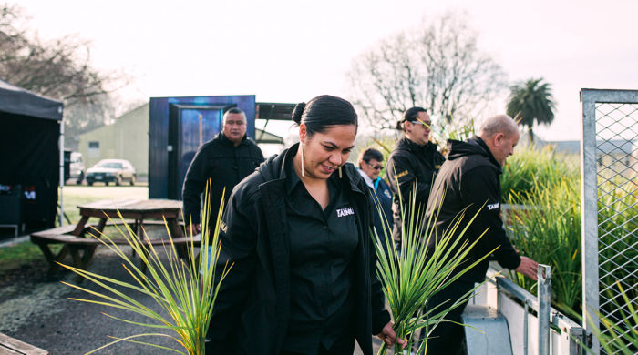 A female carries native plant seedlings. Next to her is a trailer full of them.