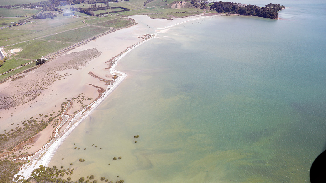 Kauri Bay Shell Barriers. 