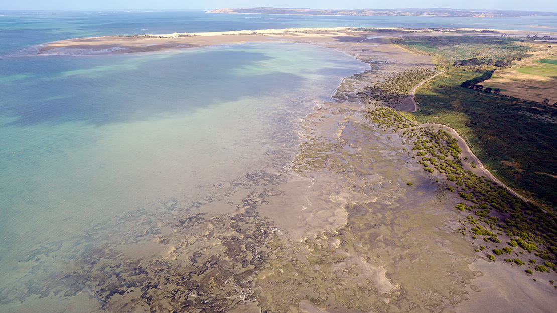 Manukapua Island. 