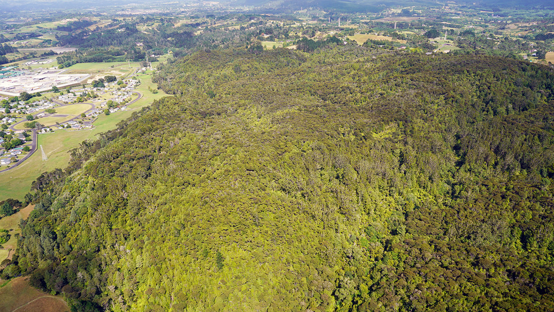 Paremoremo Scenic Reserve. 