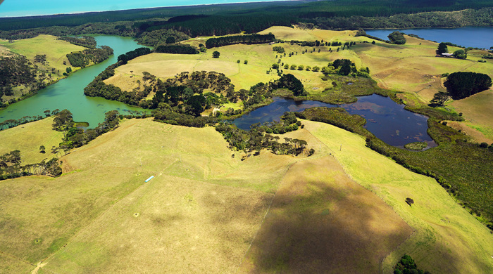 Wetlands and lakes of Lake Rototoa – Te Rau Pūriri BFA.