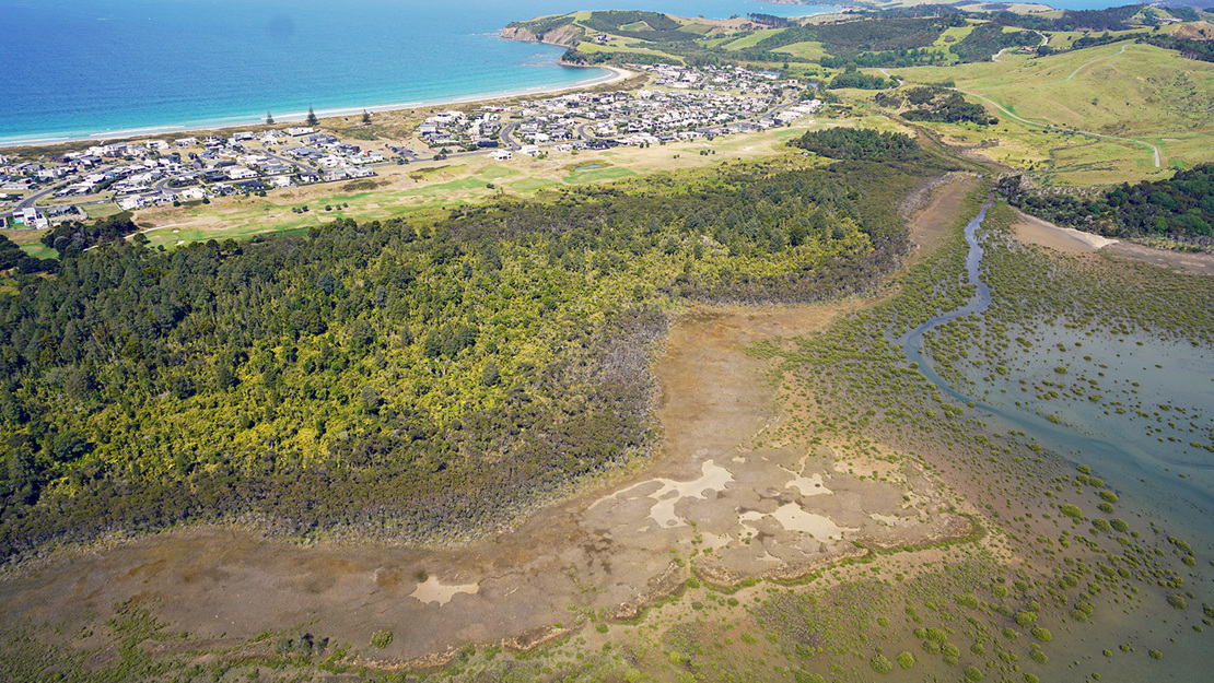 Omaha sequence vegetation.