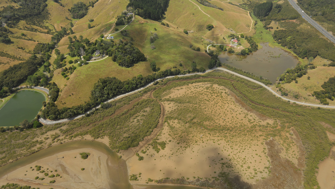 Stakes Lagoon in Waiwera, the estuary and surrounding wetland vegetation.