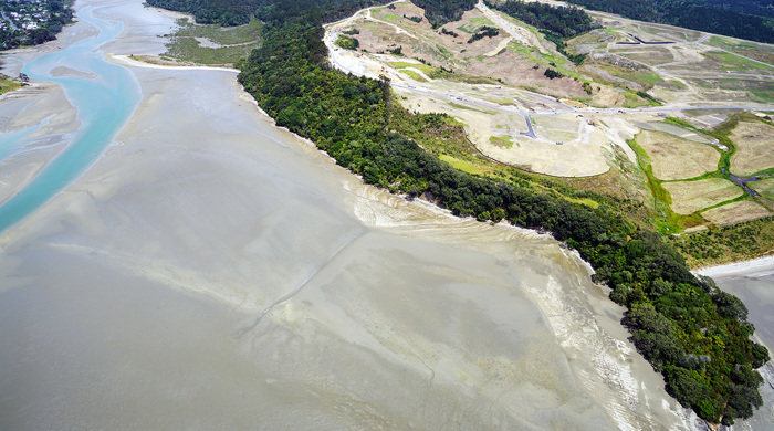 Okura Scenic Reserve.