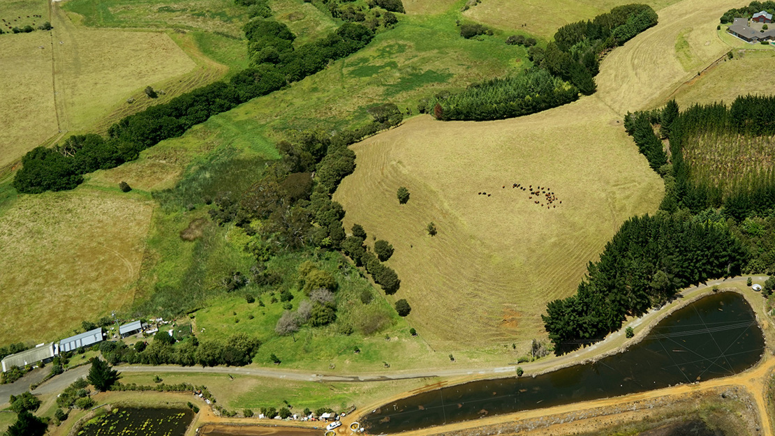 Prawn Farm Wetlands.