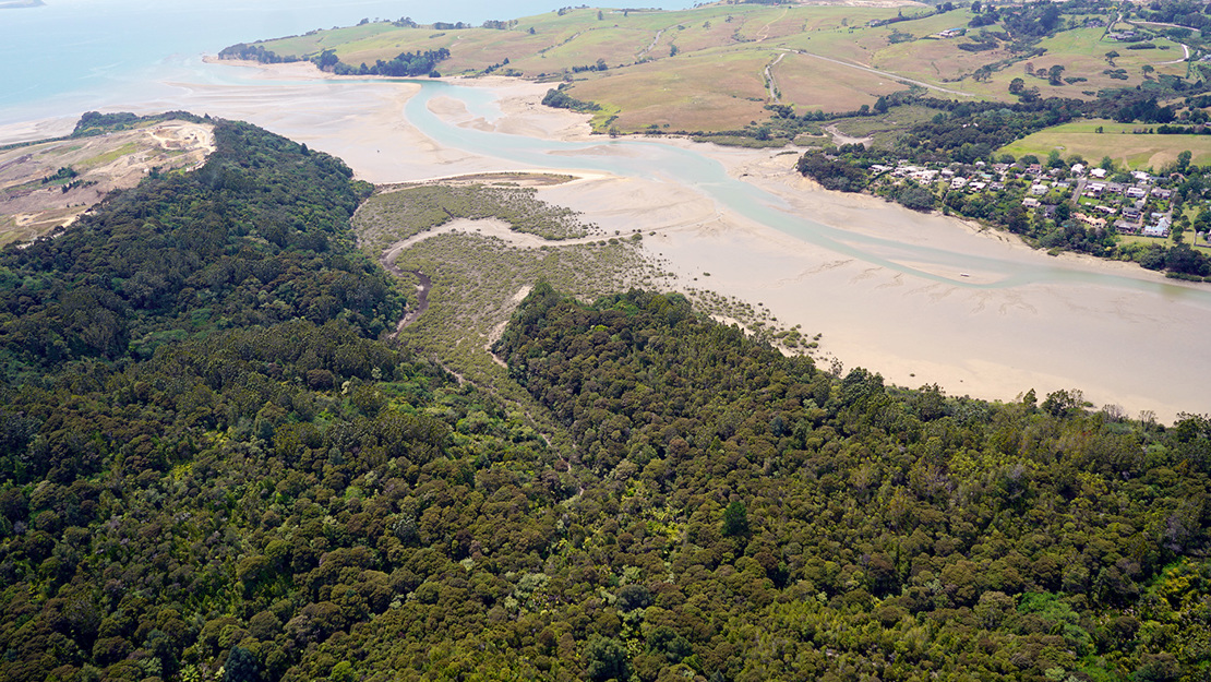 Okura Scenic reserve, Long Bay. 