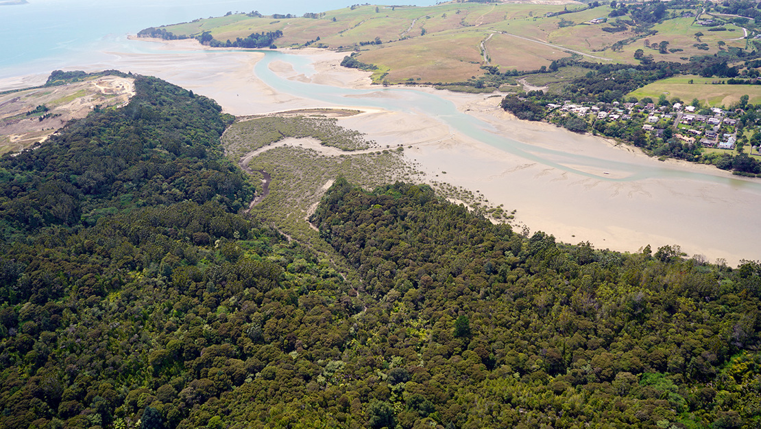 Okura Scenic reserve, Long Bay.