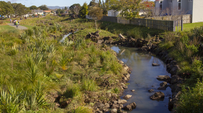 A natural stream flowing past native plantings in an urban setting with a pathway alongside.