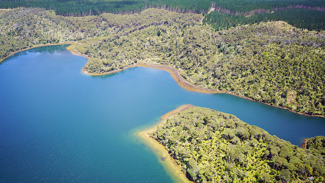 Wetlands and lakes of Lake Rototoa – Te Rau Pūriri BFA.