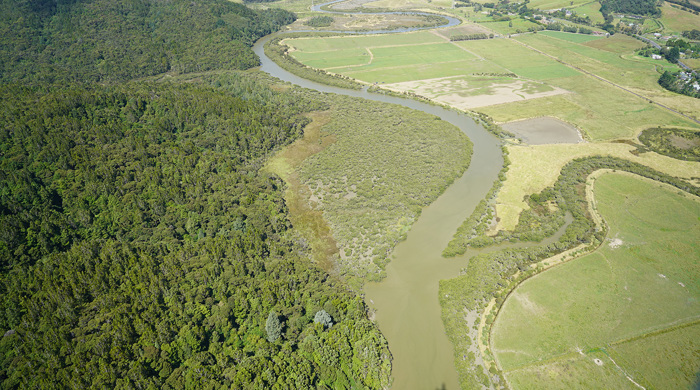 Kaukapakapa Estuary Scientific Reserve with river and forest.