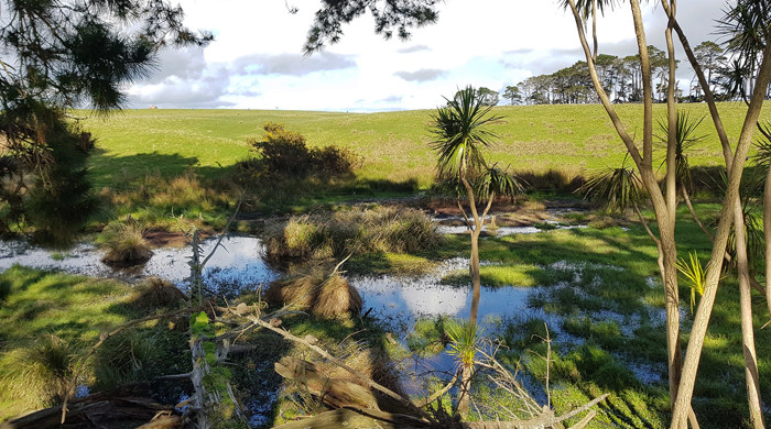 Price Road Wetland.