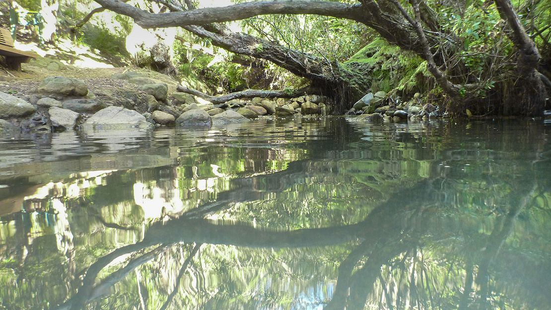 A calm lake surrounded by rocks and trees.