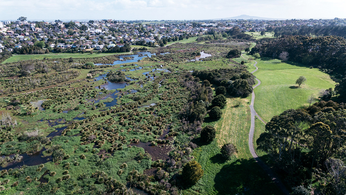 Wetland at Waiatarua Reserve.