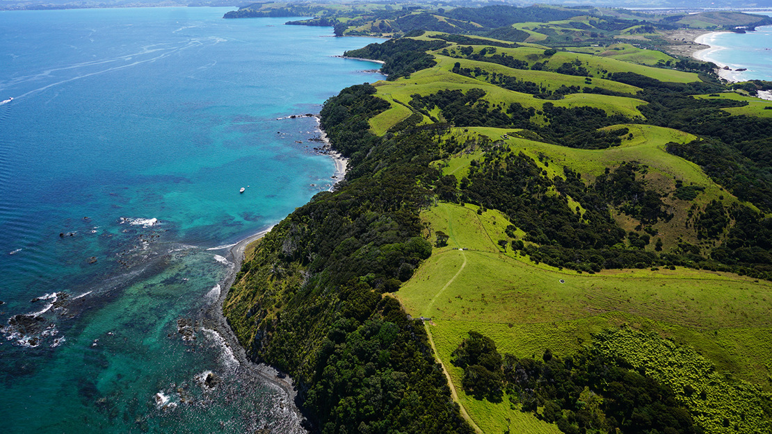 Tāwharanui Peninsula.