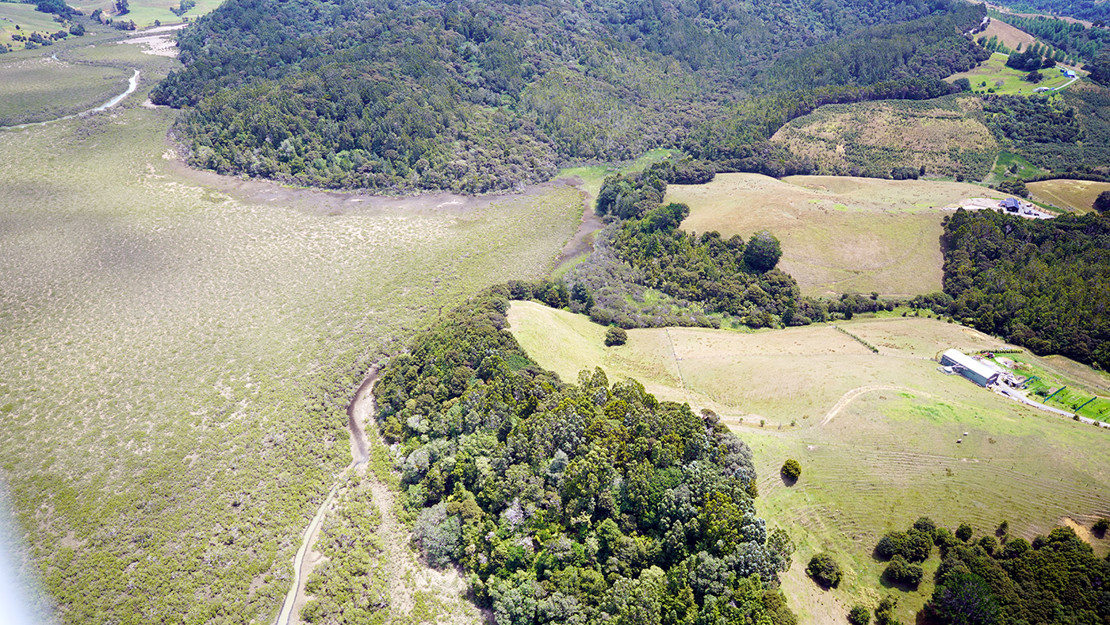 McElroy Scenic Reserve and forest.