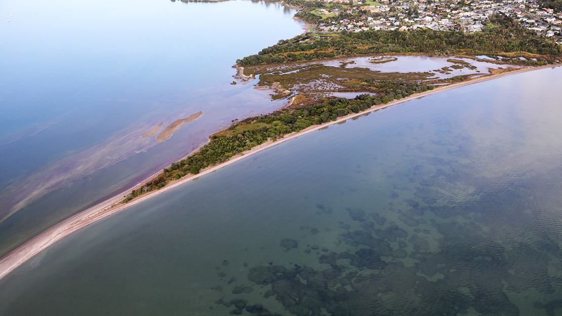 Tahuna Torea sand bank extending into the estuary.