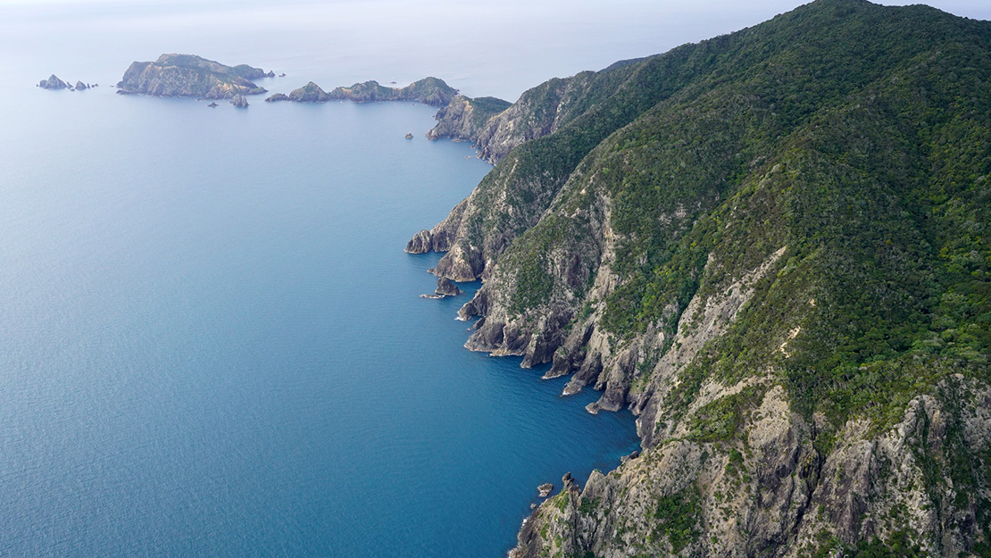 Needles Point, Great Barrier Island. 