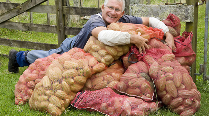 Weedbusters mothplant.