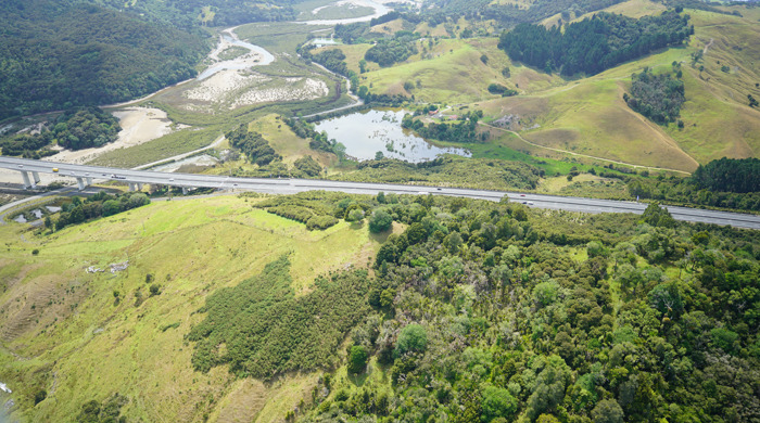 Strakas Lagoon, SH1 and Waiwera River mangroves. 