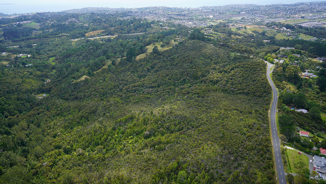 Gumland within Albany Scenic Reserve.