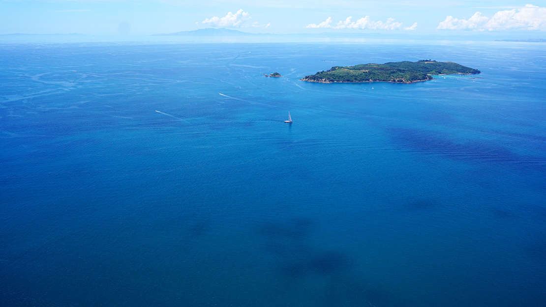 Tiritiri Matangi Island.