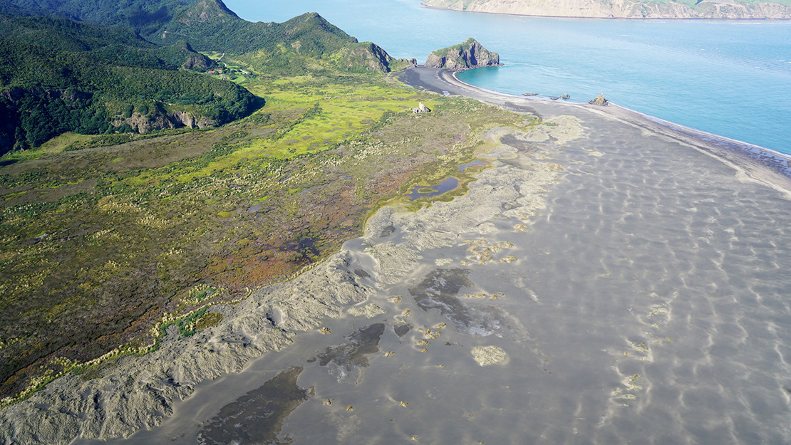 Whatipu and Manukau Harbour.