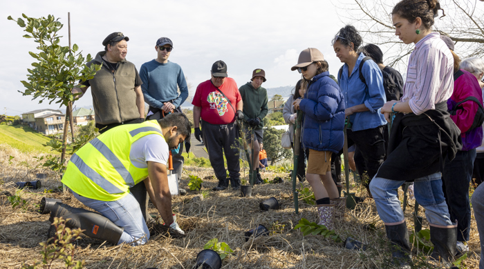 A group of people stand around a man, wearing a safety vest, who is kneeling planting a small plant.