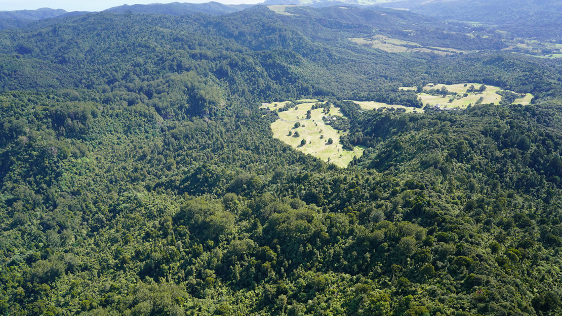 Ark in the Park project area.
