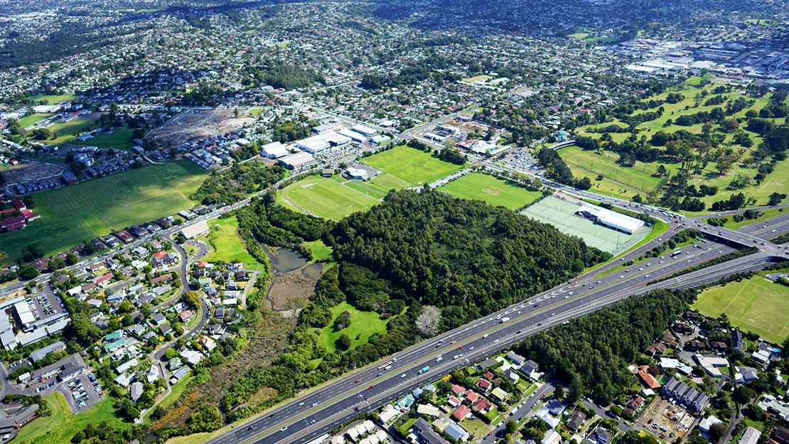 View of Smiths Bush and the motorway beside it, looking west. 