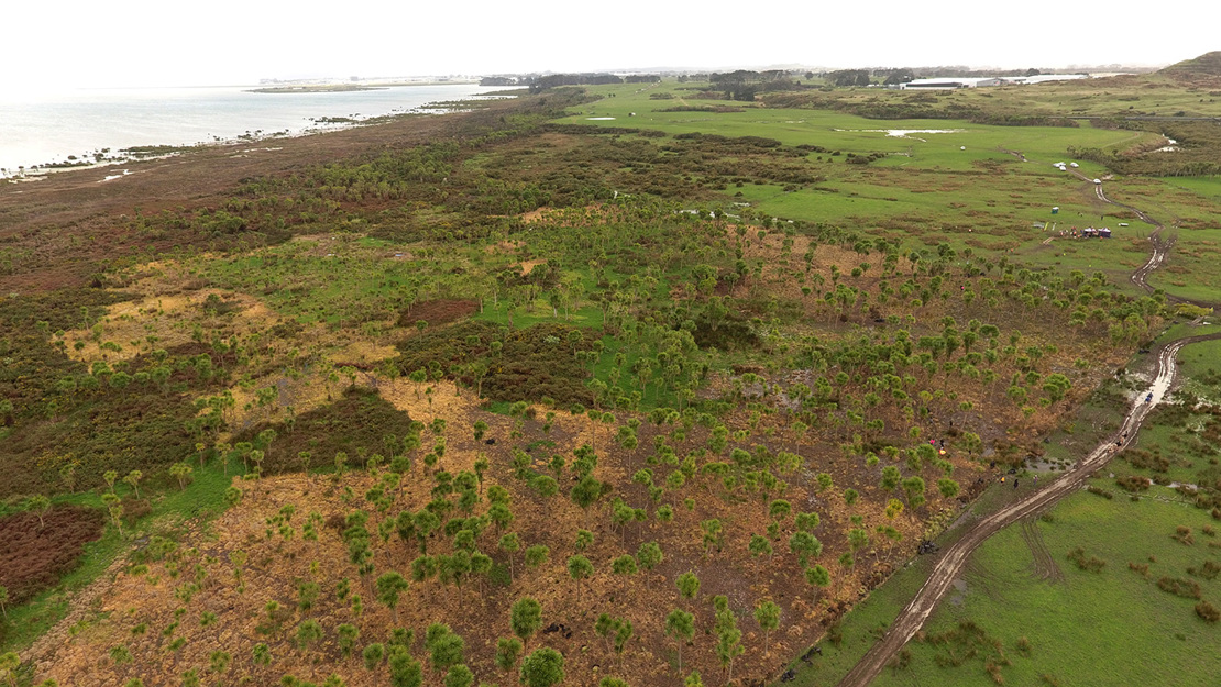 Puhinui Reserve. 