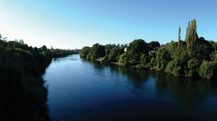 A view of the Waikato awa (river). It is wide and dark blue with lush trees and shrubs lining its sides.