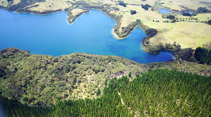 Working farm of Lake Rototoa – Te Rau Pūriri BFA.